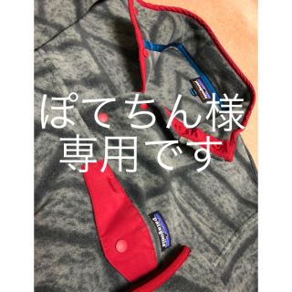 パタゴニア(patagonia)のPATAGONIA CYNCHILLA SNAP T PULL OVER(パーカー)