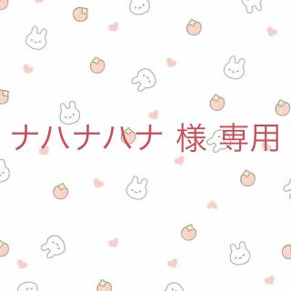 ナハナハナ 様 専用(その他)