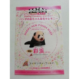 白浜 アドベンチャーワールド パンダ 赤ちゃん 命名セレモニー 彩浜 限定シール(シール)
