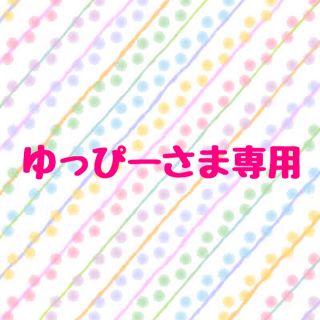 アラシ(嵐)のゆっぴーさま専用(その他)