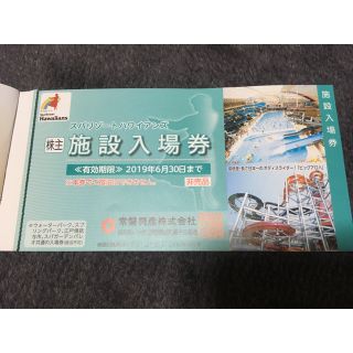 ハワイアンズ 株主優待 入場券(遊園地/テーマパーク)