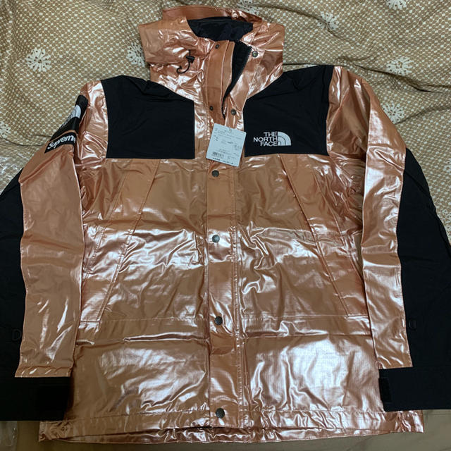 Supreme(シュプリーム)のSUPREME METALLIC MOUNTAIN JACKET (L) 新品 メンズのジャケット/アウター(マウンテンパーカー)の商品写真