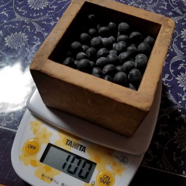 限定特価【新豆M・900g】2019年 丹波種 丹波黒大豆 近江産 ダイエット 食品/飲料/酒の食品(米/穀物)の商品写真