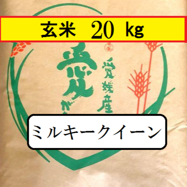 お米　H30　愛媛県産ミルキークイーン　玄米　20㎏