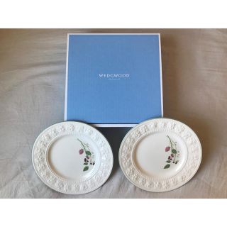 ウェッジウッド(WEDGWOOD)のLisa様専用☆ WEDGWOOD ウェッジウッド お皿(食器)