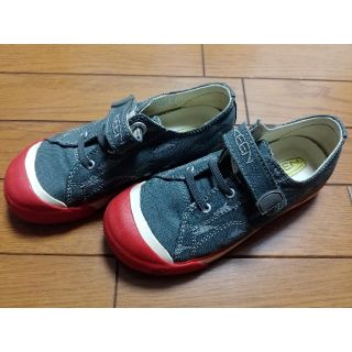 キーン(KEEN)のキーン　19.5センチ　サメ柄　キャンバス地　美品(スニーカー)