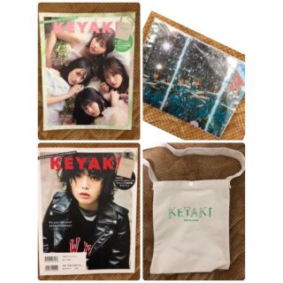 ケヤキザカフォーティーシックス(欅坂46(けやき坂46))の欅坂46 グッズ(女性アイドル)