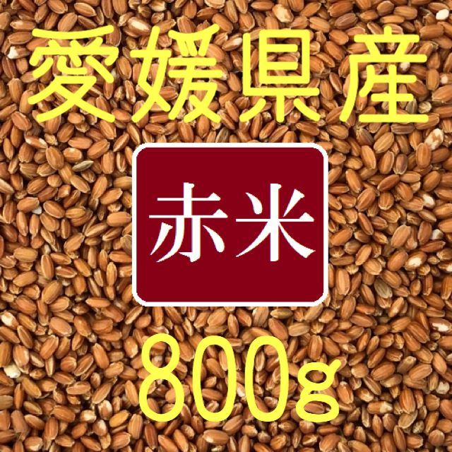 赤米（古代米）　愛媛県産　800ｇ 食品/飲料/酒の食品(米/穀物)の商品写真