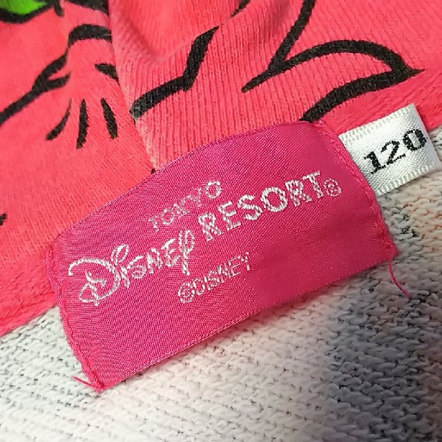 Disney(ディズニー)のDisney ディズニー ディズニーリゾート パーカー 120センチ キッズ/ベビー/マタニティのキッズ服女の子用(90cm~)(ジャケット/上着)の商品写真