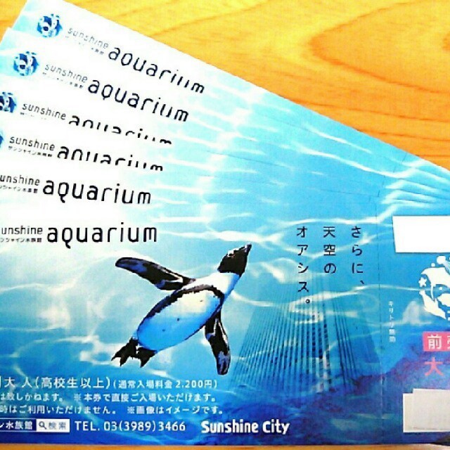 サンシャイン水族館チケット 1枚 チケットの施設利用券(水族館)の商品写真
