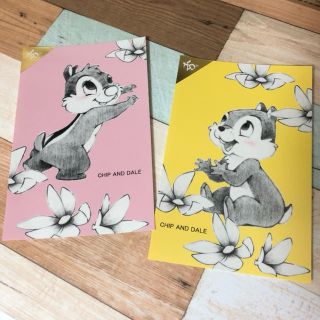 チップアンドデール(チップ&デール)の【Disney】チップ&デール ポストカード(使用済み切手/官製はがき)