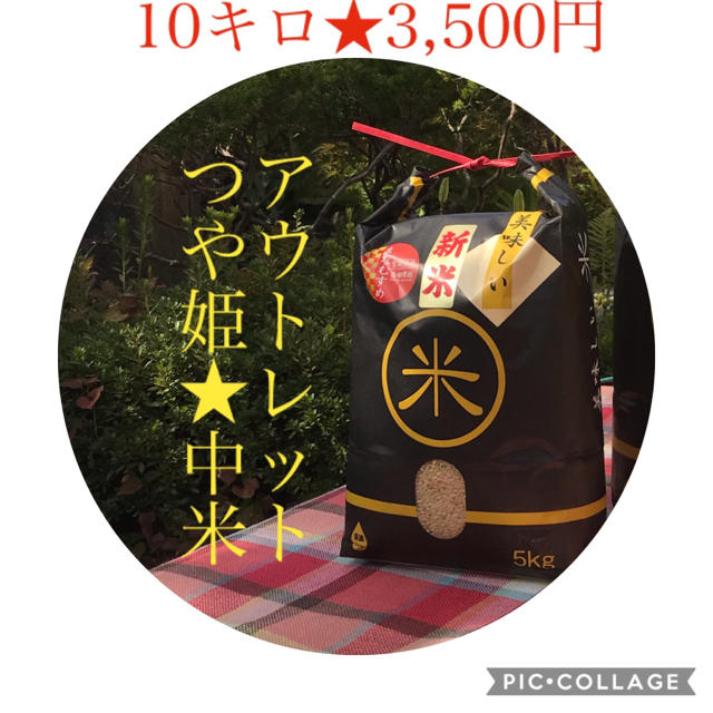 大特価！アウトレット☆中米☆宮城県産つや姫10キロ 食品/飲料/酒の食品(米/穀物)の商品写真