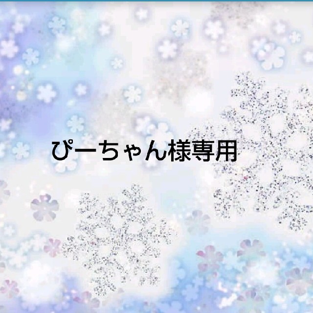 ぴーちゃん様専用 www.termasbryant.com