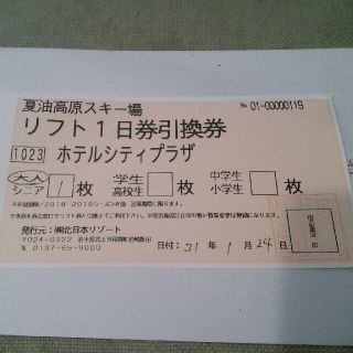 夏油高原スキー場　リフト１日券　大人１枚(スキー場)