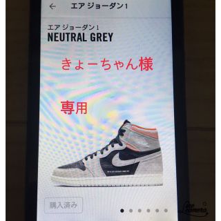 ナイキ(NIKE)のNIKE エアジョーダン1   NEUTRAL  GREY(スニーカー)