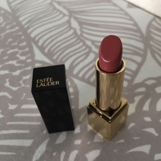 エスティローダー(Estee Lauder)の●エスティーローダー ピュアカラーエンヴィリップスティック 19●(口紅)