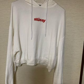 ステューシー(STUSSY)のステューシー パーカー専用(パーカー)