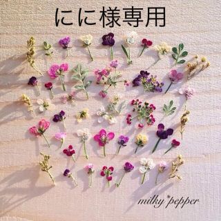 ドライフラワー 押し花 オーダー品(ドライフラワー)