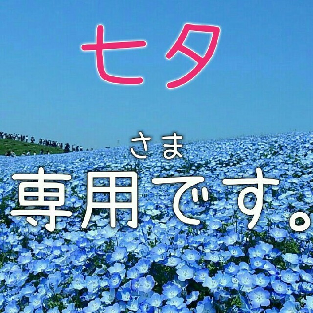 七夕様専用です。 食品/飲料/酒の加工食品(その他)の商品写真