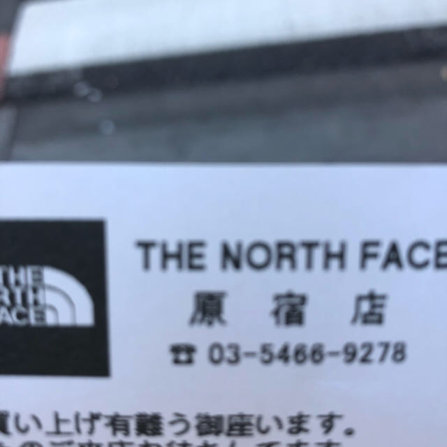 THE NORTH FACE(ザノースフェイス)のマウンテンライトジャケットLサイズ メンズのジャケット/アウター(マウンテンパーカー)の商品写真