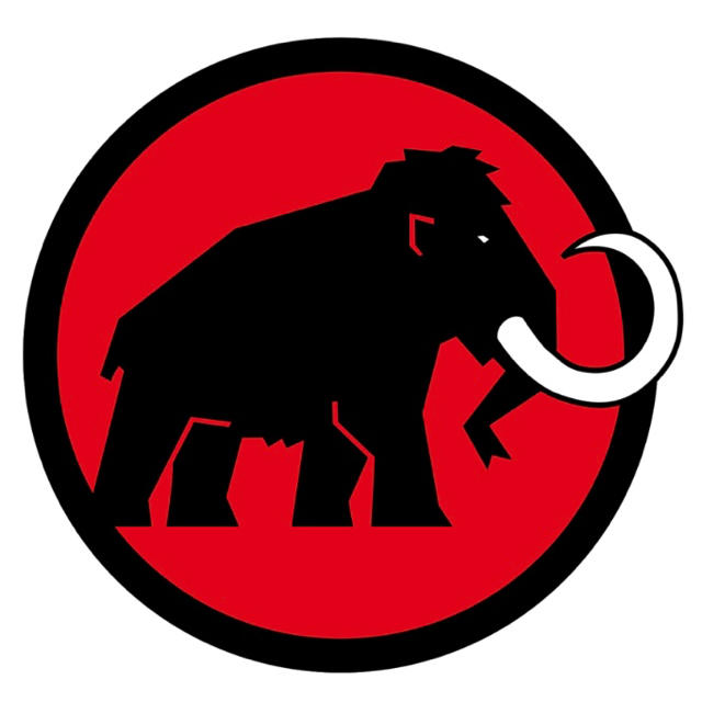 Mammut(マムート)のMAMMUT マムート アイロンワッペン スポーツ/アウトドアのアウトドア(登山用品)の商品写真