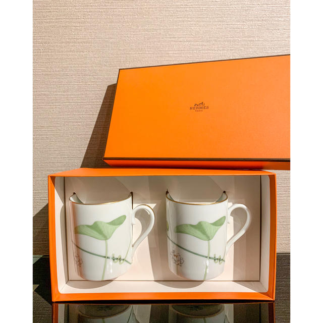 新品希少☆エルメス 　HERMES　ナイル 　カップ\u0026ソーサー　２客セット箱付き