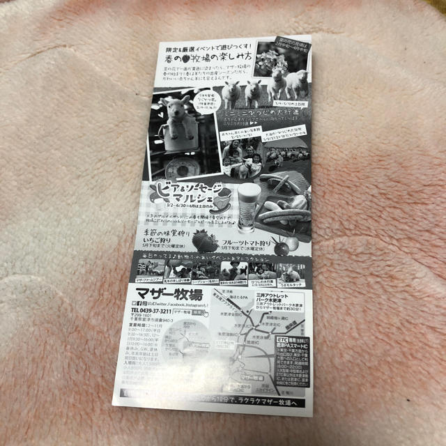 マザー牧場 ご招待券 チケットの施設利用券(遊園地/テーマパーク)の商品写真