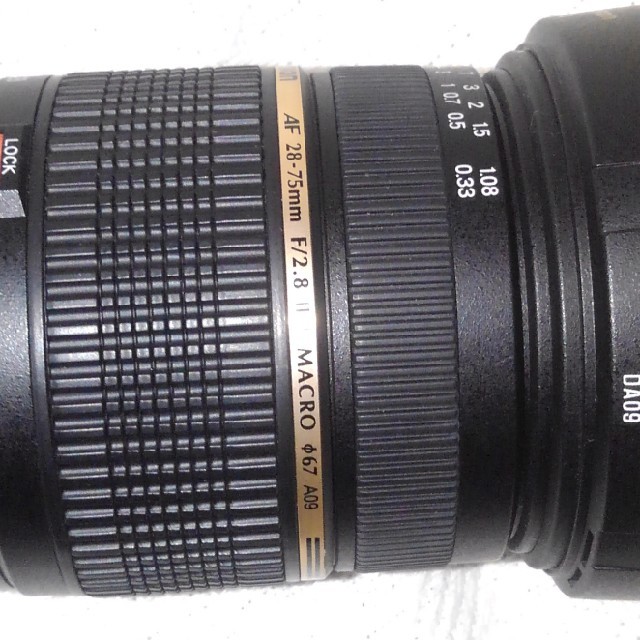 タムロン ASP… SP 28-75 F/2.8 使用回数極少 ニコン用 - www