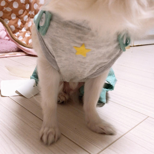 ペット服♡犬服 その他のペット用品(犬)の商品写真