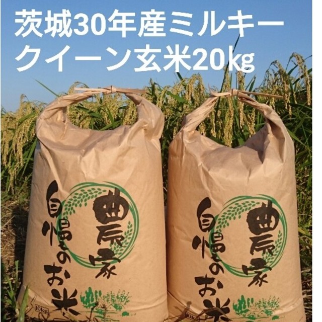 茨城30年産ミルキークイーン玄米20㎏食品/飲料/酒