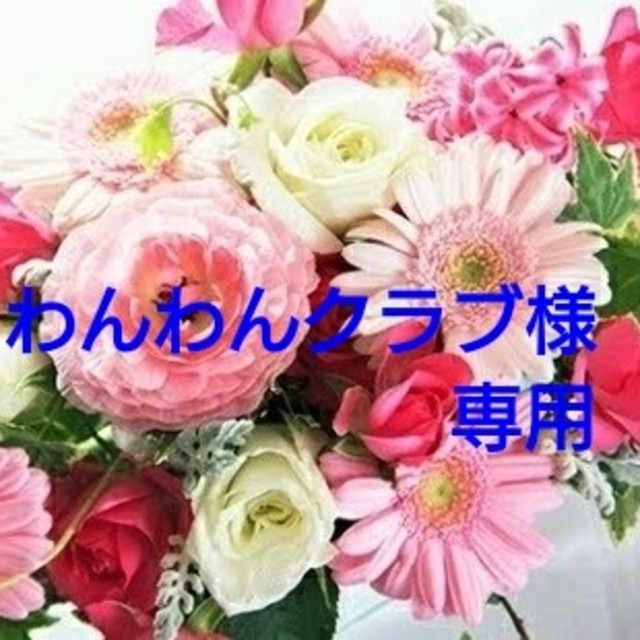 わんわんクラブ様専用ページです。 すぐったレディース福袋 www.gold