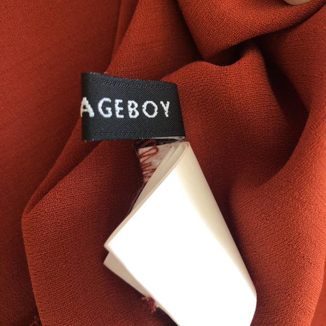 PAGEBOY(ページボーイ)のトップス レディースのトップス(カットソー(長袖/七分))の商品写真