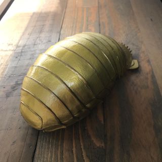 大王具足虫(ダイオウグソクムシ)iPhoneケース(iPhoneケース)