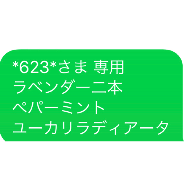 *623*さま 専用 ラベンダー二本 ペパーミント ユーカリラディアータ