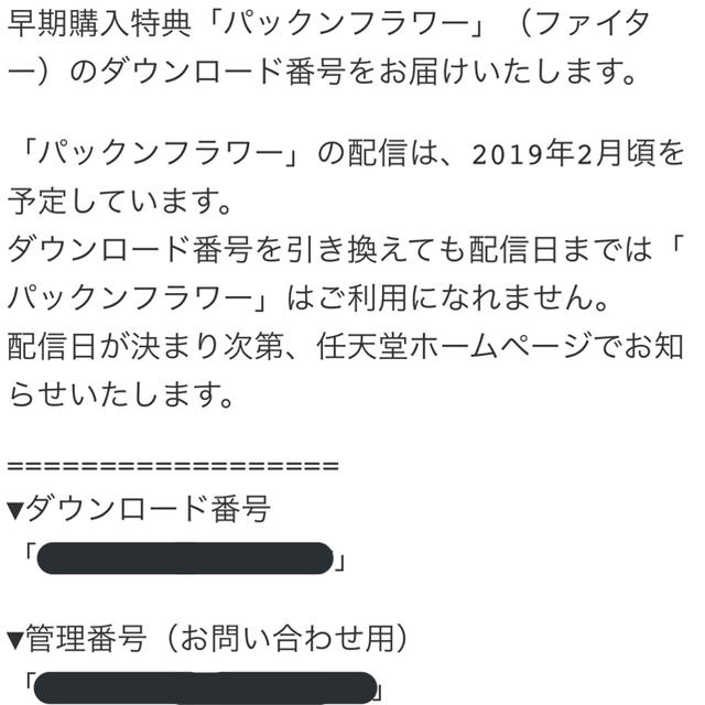 大乱闘スマッシュブラザーズSP スマブラ パックフラワー付き 1