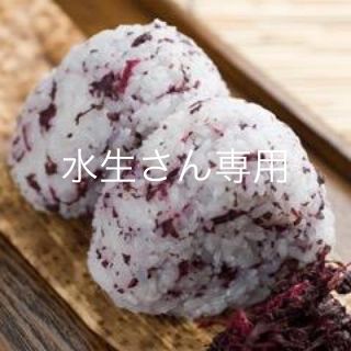 水生さん専用(その他)