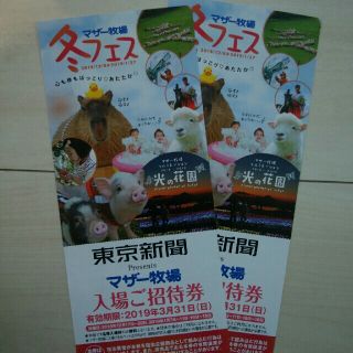 マザー牧場招待券 ×2枚 2019/3/31まで(遊園地/テーマパーク)