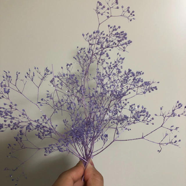 かすみ草 ラメ 紫 ハンドメイドのフラワー/ガーデン(プリザーブドフラワー)の商品写真
