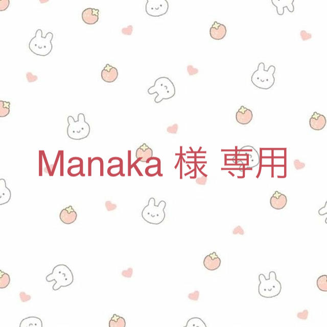 Manaka 様 専用 その他のその他(その他)の商品写真