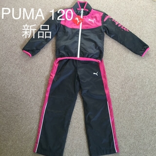 プーマ(PUMA)の新品 プーマ ウィンドブレーカー 120(ジャケット/上着)