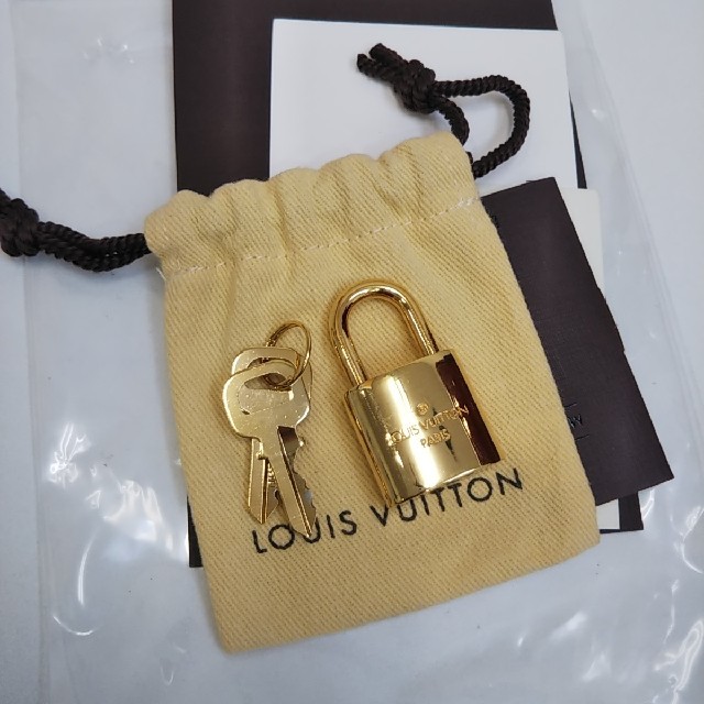 LOUIS VUITTON(ルイヴィトン)の美品　ルイ・ヴィトン　ヴェルニ　ペガス レディースのバッグ(スーツケース/キャリーバッグ)の商品写真