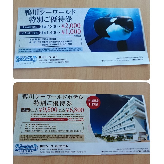 鴨川シーワールド 割引券 ご優待券  チケットの施設利用券(水族館)の商品写真