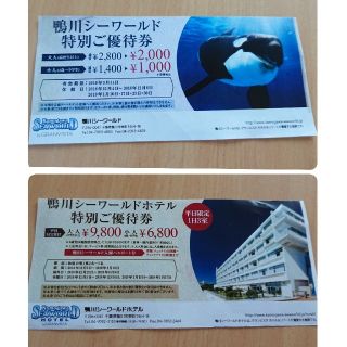 鴨川シーワールド 割引券 ご優待券 (水族館)