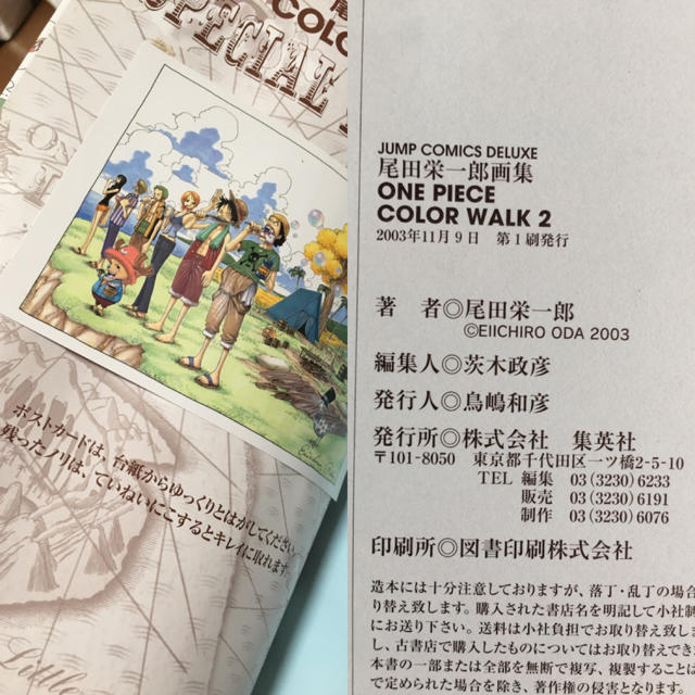 集英社 初版 One Piece 尾田栄一郎画集 Color Walk 2の通販 By ほったさん S Shop シュウエイシャならラクマ