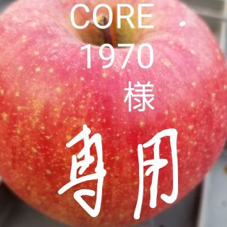 CORE1970様専用　キズありサンふじ10㎏(フルーツ)