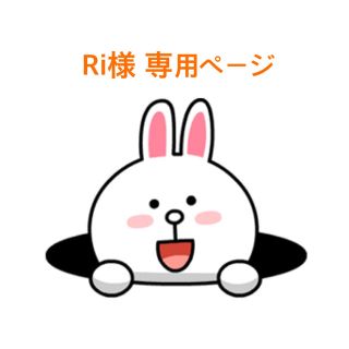 Ri様 専用(その他)