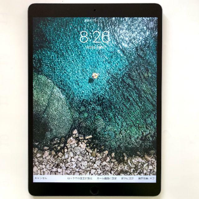 センチの通販 かえさる様専用 iPad PRO 10.5 256GB セルラー SIM...