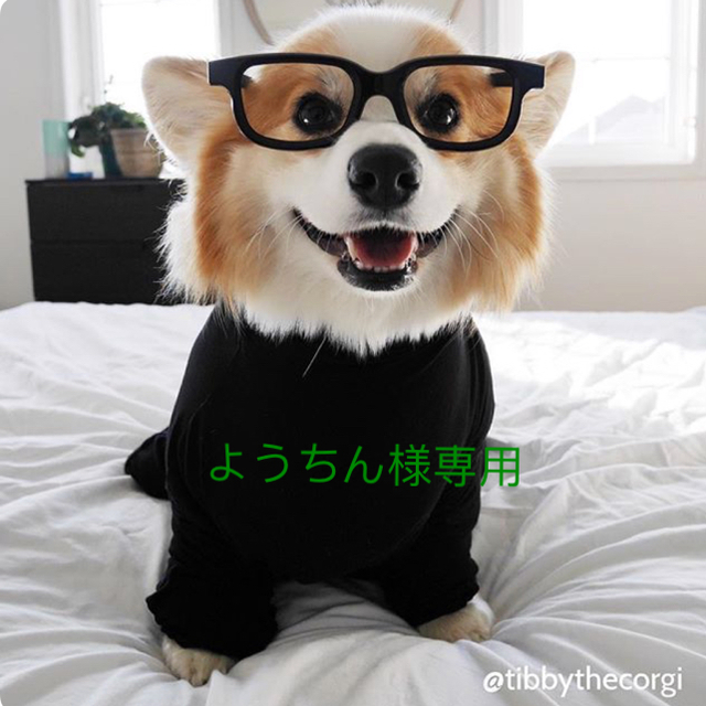 直送商品 ようちん その他 直送商品 ようちん その他