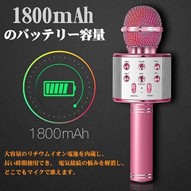 送料無料！！DAMIGRAM マイク 楽器のレコーディング/PA機器(マイク)の商品写真