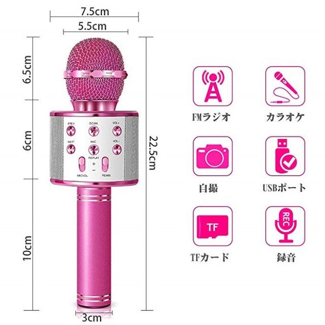 送料無料！！DAMIGRAM マイク 楽器のレコーディング/PA機器(マイク)の商品写真